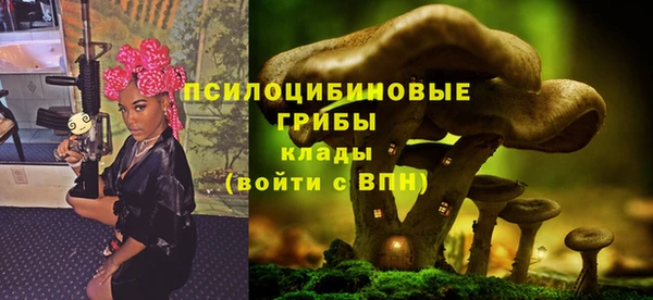 мескалин Арсеньев