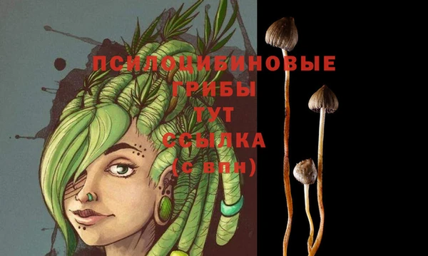 каннабис Баксан