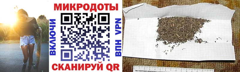 гидра онион  где продают   Оха  Псилоцибиновые грибы Cubensis 