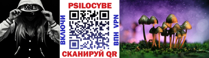 Галлюциногенные грибы GOLDEN TEACHER Оха